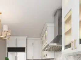 Order Discount Ready-to-Assemble Kitchen Cabinets Online white shaker ready-to-assemble kitchen cabinets online