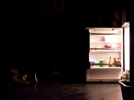 In Brief: Understanding The Science of the Refrigerator