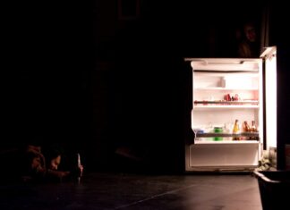 In Brief: Understanding The Science of the Refrigerator