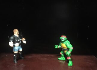 Kitchen vs Bathroom Wars: Stone Cold Turtle Soup kitchen-vs-bathroom-wars-best-online-cabinets-steve-austin-ninja-turtle