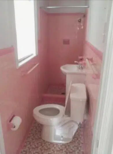 pink bathroom nightmare