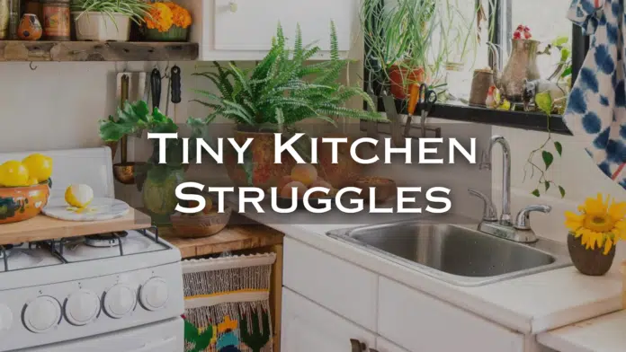 tiny kitchen space-saving struggles