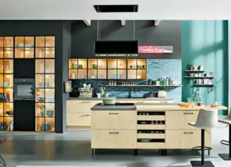 Free Services For Kitchen Cabinets at Wholesale Prices contemporary kitchen with glass doors