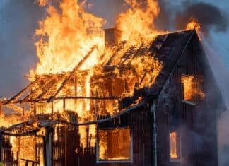 How To Rebuild After The Devastating Los Angeles Fires how to rebuild after the devastating los angeles fires